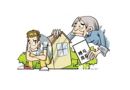 房產新人如何通過信息咨詢服務成功售房 從入門到精通的完整指南